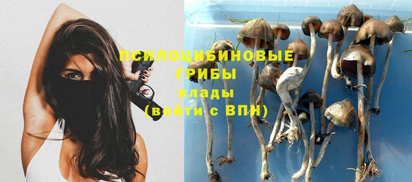 марки lsd Богданович